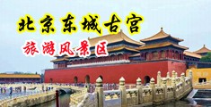 我要操美女那个大白胖屄中国北京-东城古宫旅游风景区